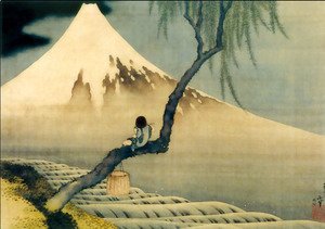 boy-on-mount-fuji