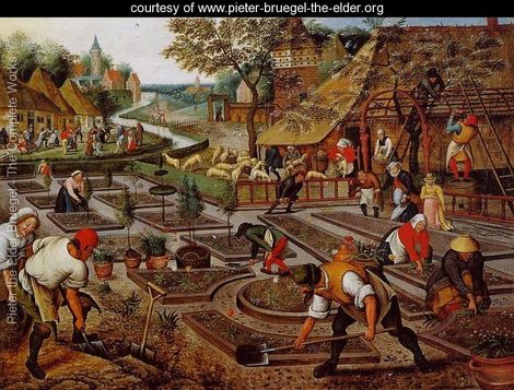 preparation-of-the-flower-beds-normal