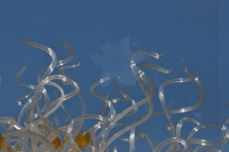 "Sole d'Oro" 2017 (Detail) Front Lawn.