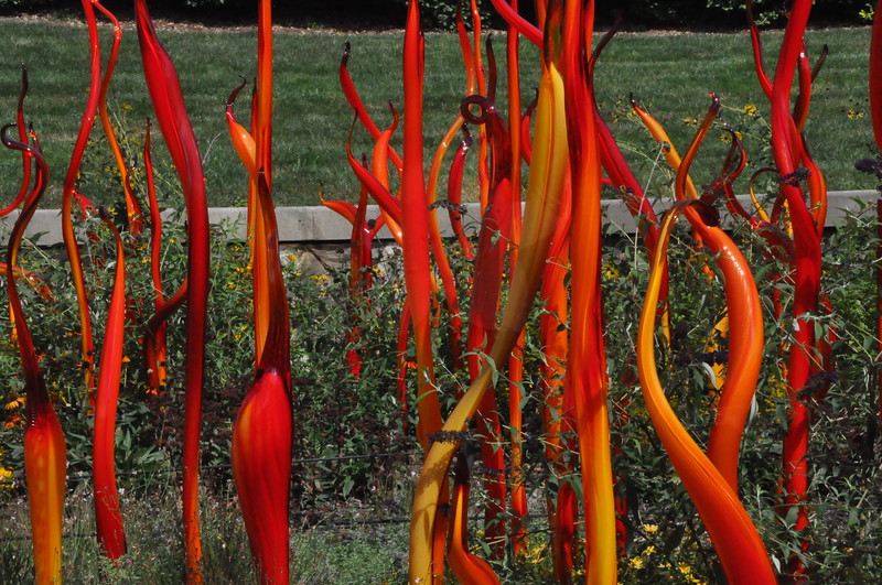 "Red Reeds" (Detail) Rose Garden.